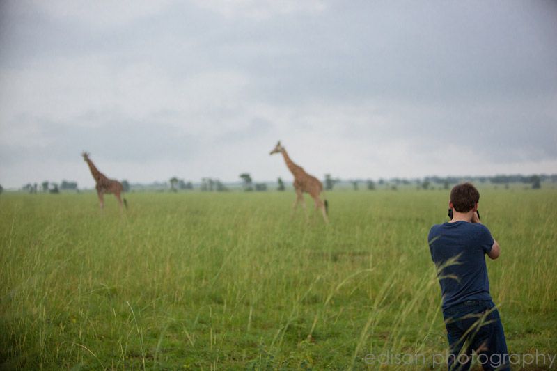 IMG 4674 Uganda: Safari