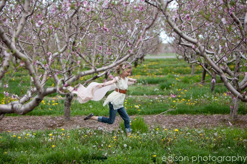 IMG 9287 zps5c05e5df Orchard Friends