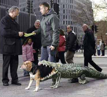 An alligator eating a dog or maybe a dog sticking it's butt down an 