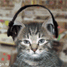 avatar_63011.gif cat image by Plunket_2007