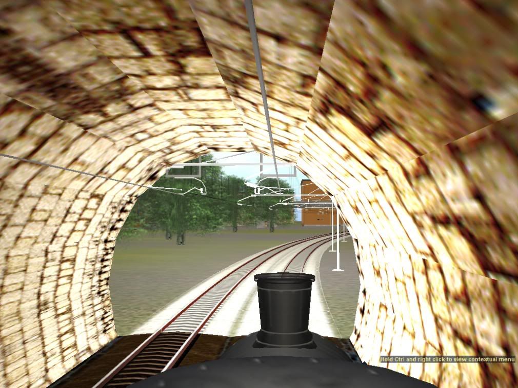 trainz2007-10-2113-42-20-82.jpg