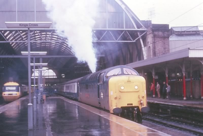 DelticatKingsCrossstation.jpg