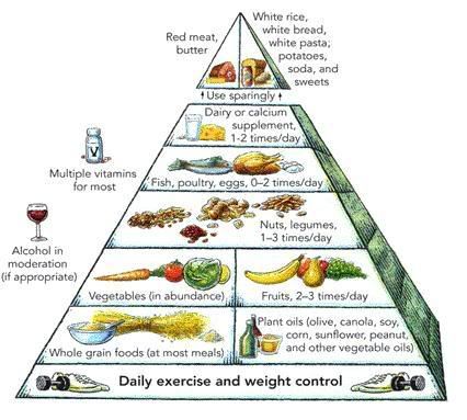 Healthy Eating Pyramid