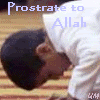 http://i165.photobucket.com/albums/u43/um_avatars/Islamic/prostrate.gif