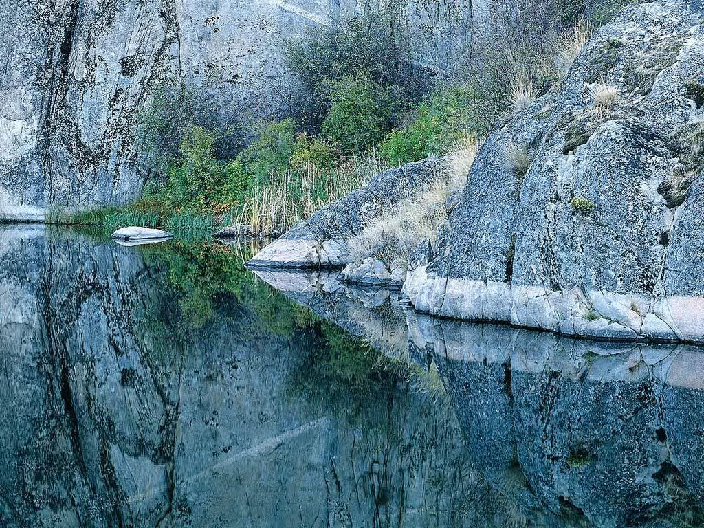 nature_011.jpg picture by nenon_photos