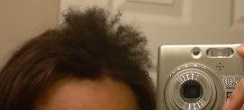 hair2008074.jpg