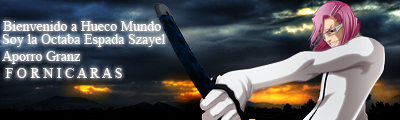 Imagen Enviada
