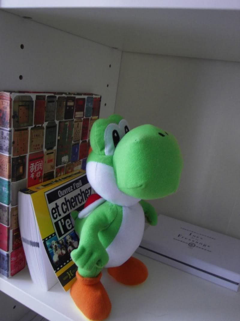 yoshi.jpg