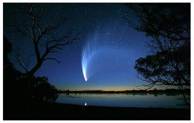 Mcnaught