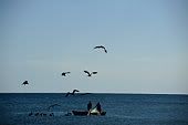 pemancing