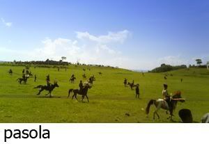 Pasola