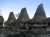 Sumba