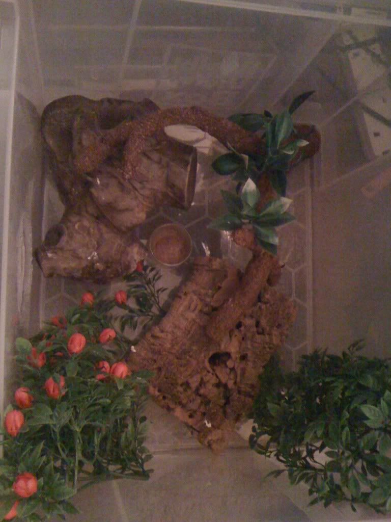 diy homemade vines and plants Reptile Forums