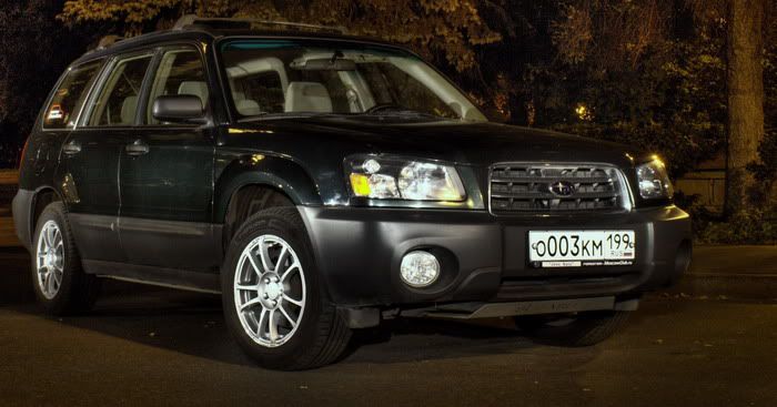 2010_01_10_forester.jpg