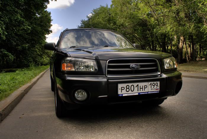 2010_01_10_forester2.jpg