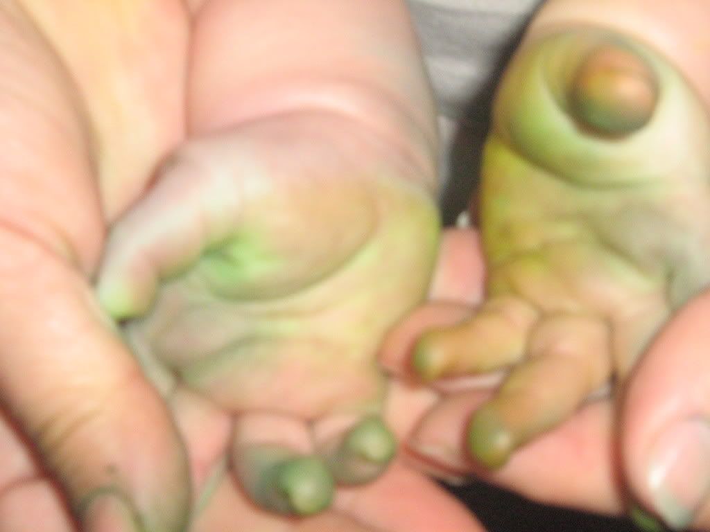 more dirty hands Pictures, Images and Photos
