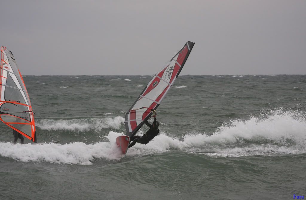 Punta10-03-08094.jpg