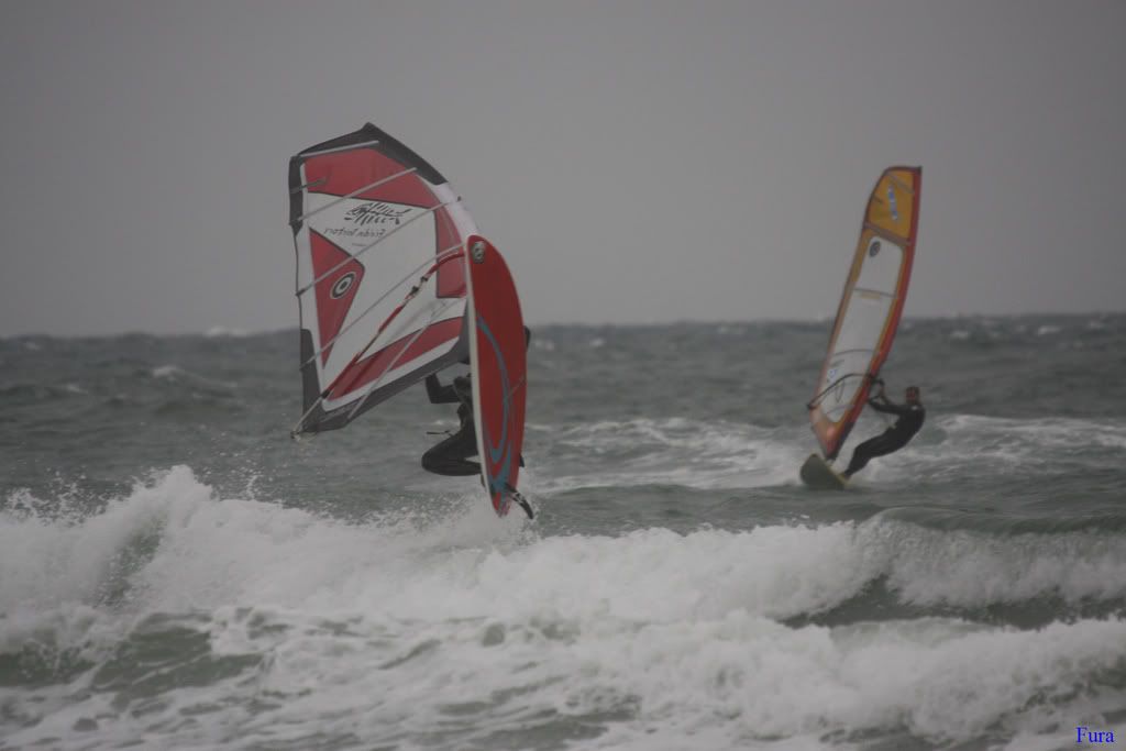 Punta10-03-08278.jpg