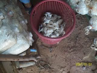 100_6733.jpg