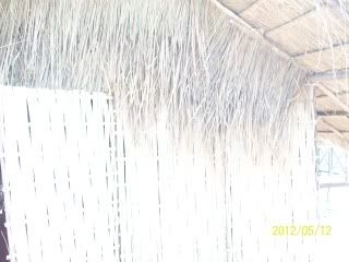 100_6782.jpg