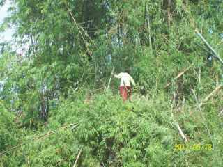100_6804.jpg