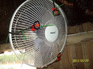 100_6805.jpg