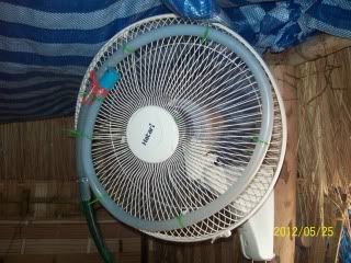 100_6806.jpg