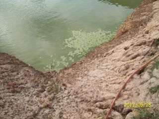 100_6807.jpg
