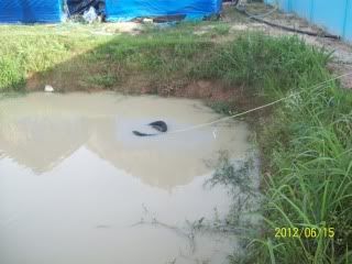 100_6837.jpg
