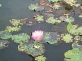 th_100_5738.jpg