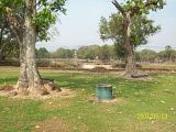 th_100_5781.jpg
