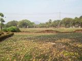 th_100_5784.jpg