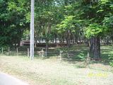 th_100_5814.jpg