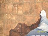 th_100_5824.jpg