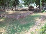 th_100_5826.jpg