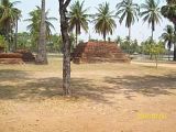 th_100_5827.jpg