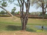 th_100_5831.jpg