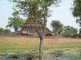 th_100_5833.jpg