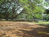 th_100_5840.jpg