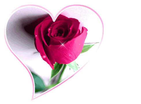 rose n heart