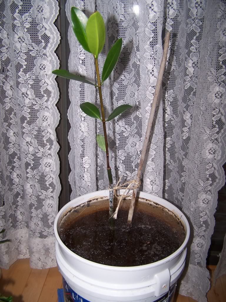 100_2632.jpg