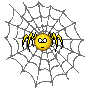 Spiderweb.gif