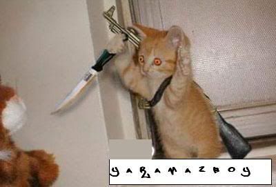 psikopatkedi.jpg