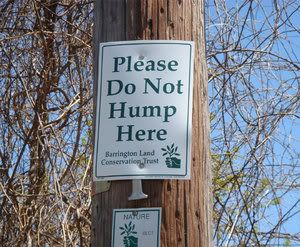 Please_Do_Not_Hump_Here_by_gothictu.jpg
