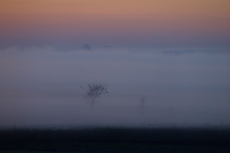 Dołączona grafika