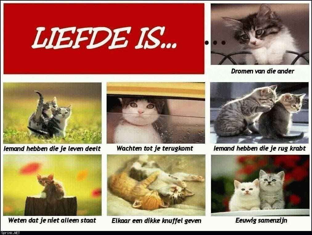 Liefde is...