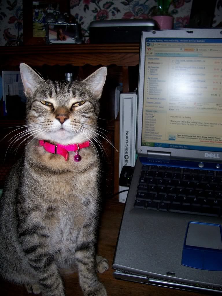 Hazeloncomputer.jpg