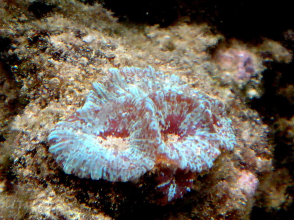 DSC05397.jpg