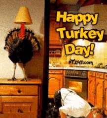 Turkey Day Pictures, Images and Photos