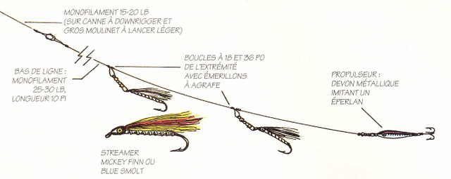 La pêche russe le paiement en ligne
